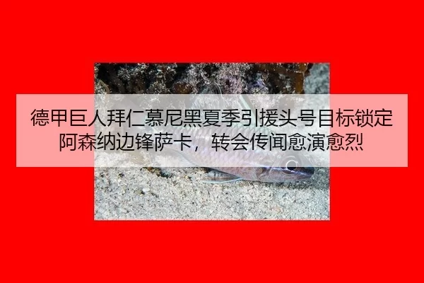 de-jia-ju-ren-bai-ren-mu-ni-hei-xia-ji-yin-yuan-tou-hao-mu-biao-suo-ding-a-sen-na-bian-feng-sa-ka-zhuan-hui-chuan-wen-2-982.jpg