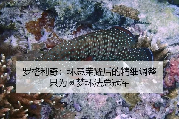 luo-ge-li-qi-huan-yi-rong-yao-hou-de-jing-xi-tiao-zheng-zhi-wei-yuan-meng-huan-fa-zong-guan-jun-2-892.jpg